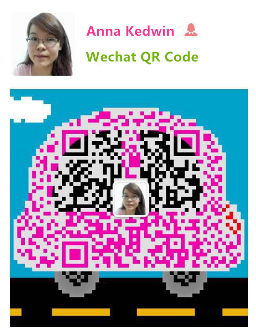 the qr code